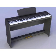 Цифровое пианино Sai Piano P-9BK